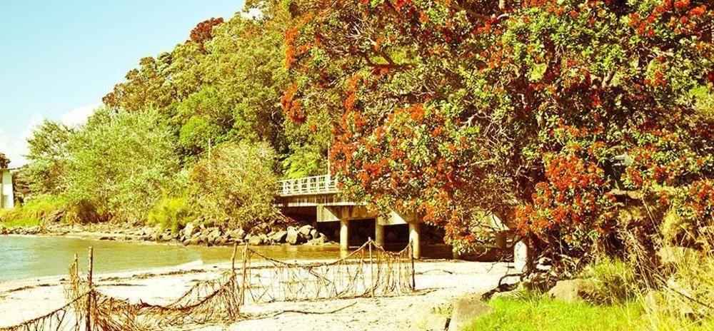 Ohuka Place Homestay Фитианга Экстерьер фото